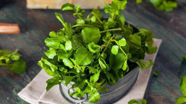 Mỹ đánh giá đây là loại rau tốt nhất thế giới, còn là “thần dược của người nghèo”, tốt cho cả đường huyết lẫn tuổi thọ: Việt Nam có rất nhiều - Ảnh 3.