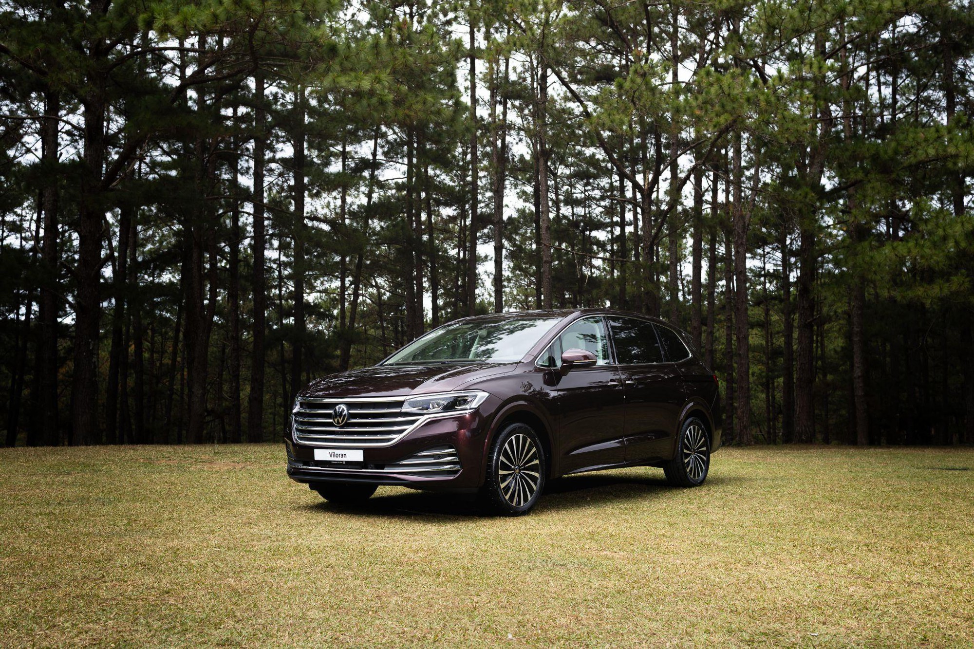 Bài toán chọn xe tầm giá 2 tỷ đồng cho gia đình 3 thế hệ: Volkswagen Viloran là lời giải trọn vẹn - Ảnh 4. Bài toán chọn xe tầm giá 2 tỷ đồng cho gia đình 3 thế hệ: Volkswagen Viloran là lời giải trọn vẹn - Ảnh 4.