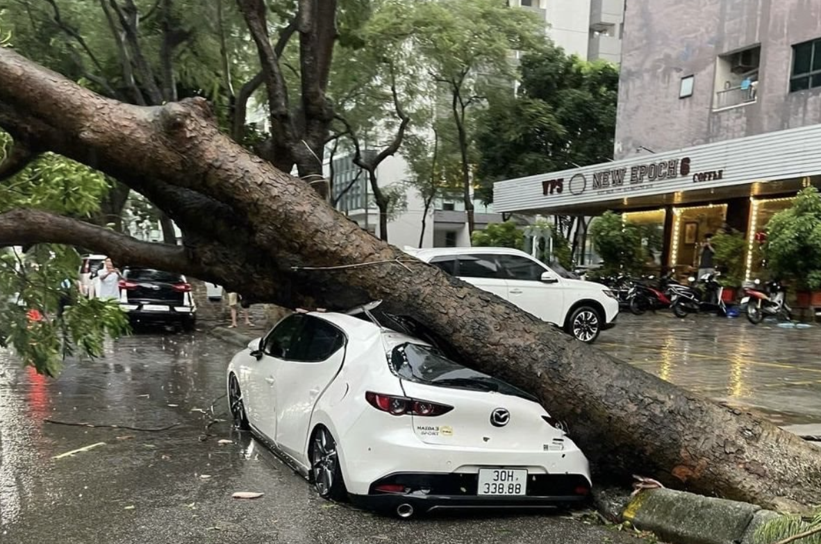 Một doanh nghiệp bảo hiểm ghi nhận 226 vụ tổn thất do bão số 10, bồi thường cao nhất 700 triệu đồng/trường hợp - Ảnh 1.