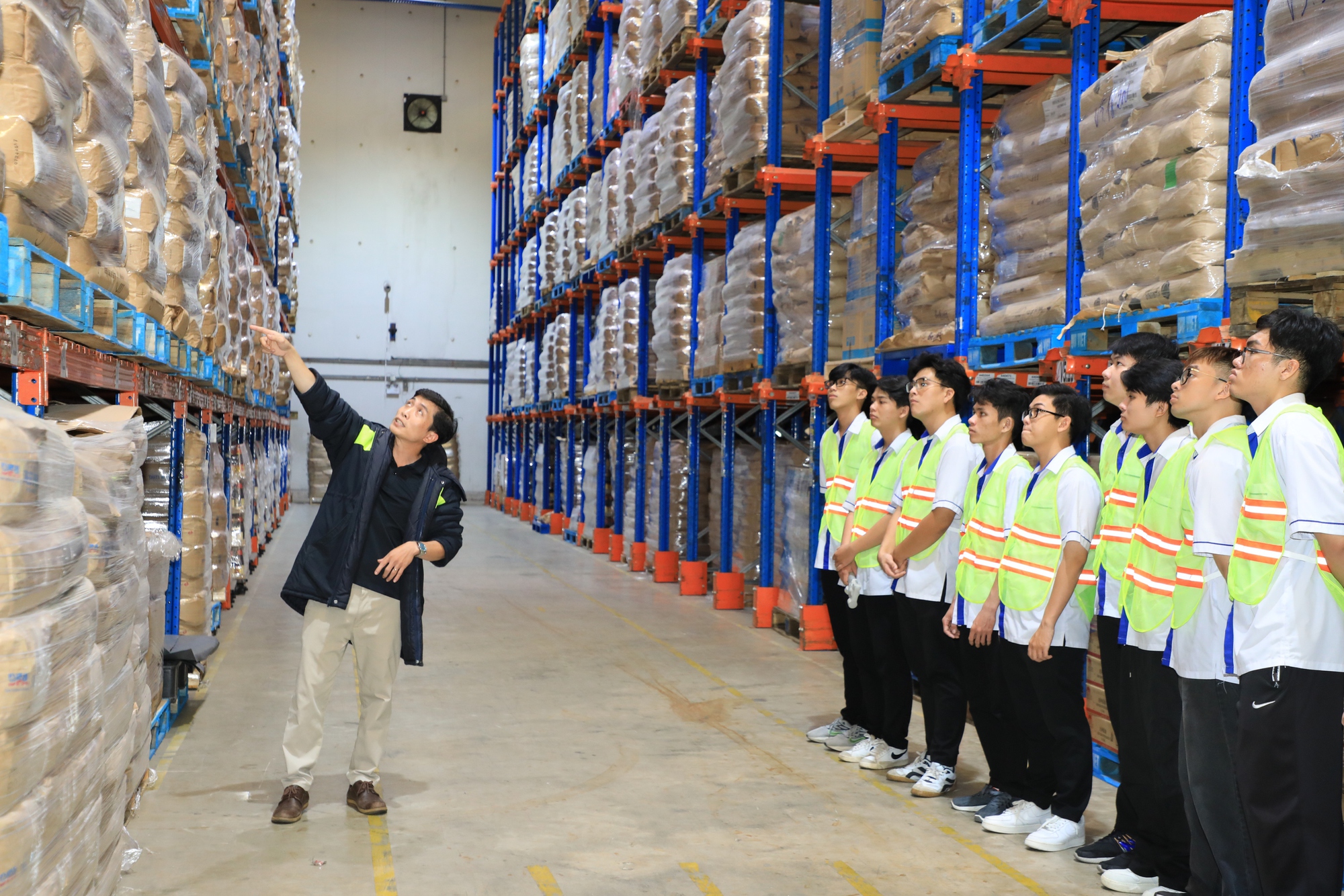 Dự kiến hàng loạt trường cao đẳng, trung cấp ở TP HCM sẽ bị sáp nhập - Ảnh 1.