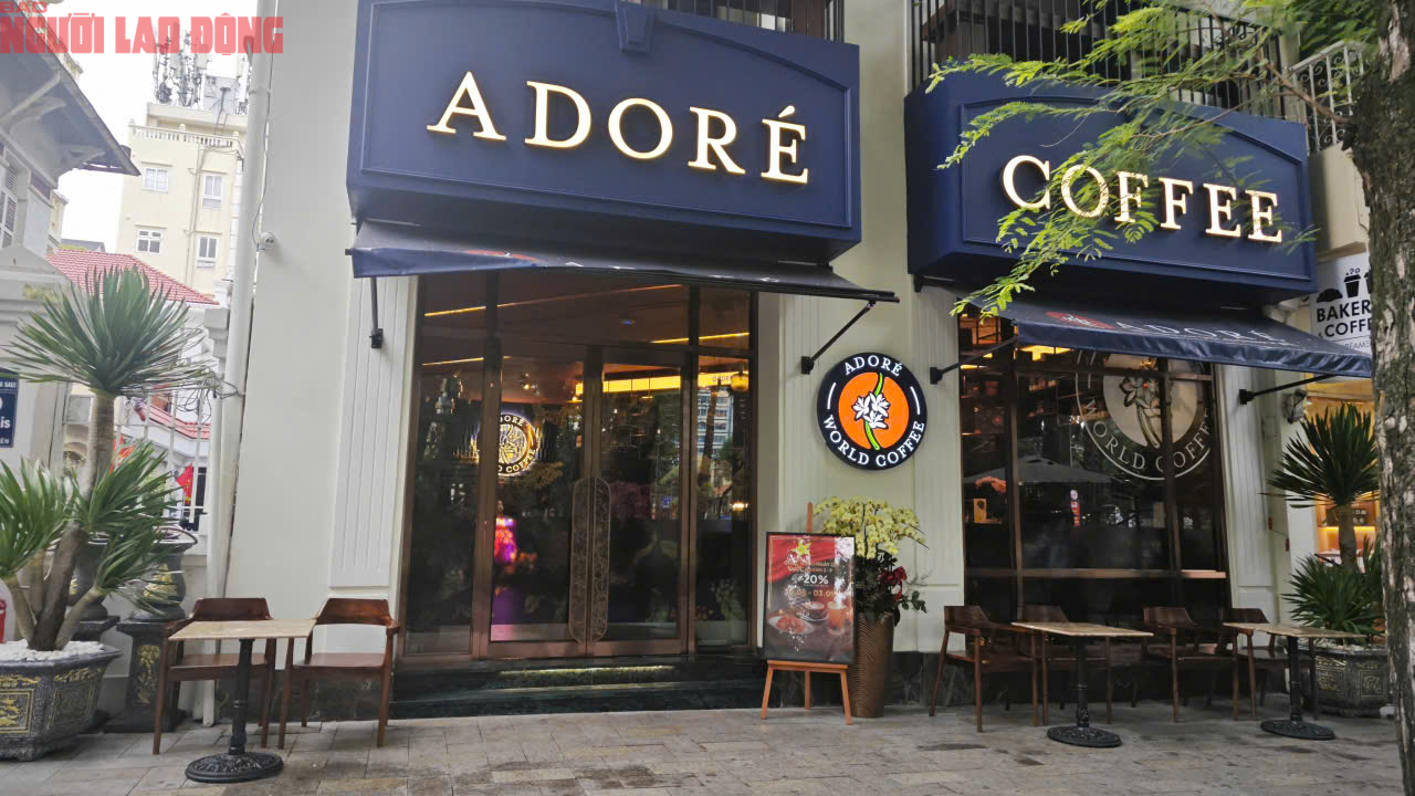 - Ảnh 4. - Ảnh 4.