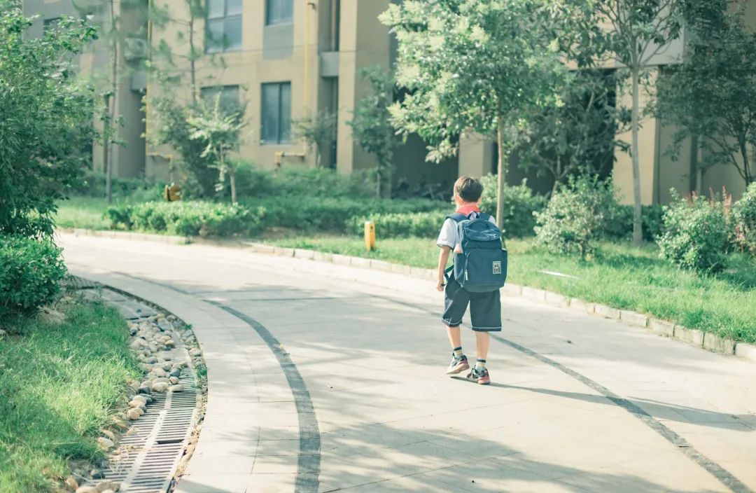 Nhìn những học sinh đỗ ĐH top 1, phát hiện ra: Đa phần trẻ thành công bắt nguồn từ 3 hành động "lạnh lùng" này của bố mẹ- Ảnh 4. Nhìn những học sinh đỗ ĐH top 1, phát hiện ra: Đa phần trẻ thành công bắt nguồn từ 3 hành động "lạnh lùng" này của bố mẹ- Ảnh 4.