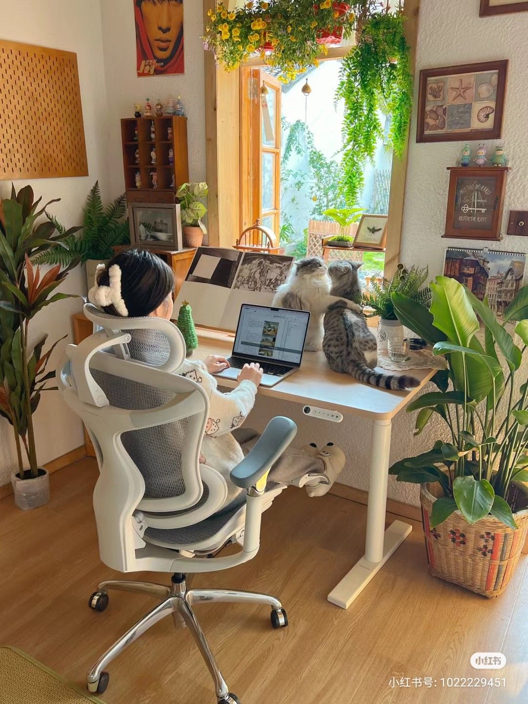 Cơ hội làm giàu, trả nợ của 12 con giáp từ nay đến 12/ 2025- Ảnh 2.