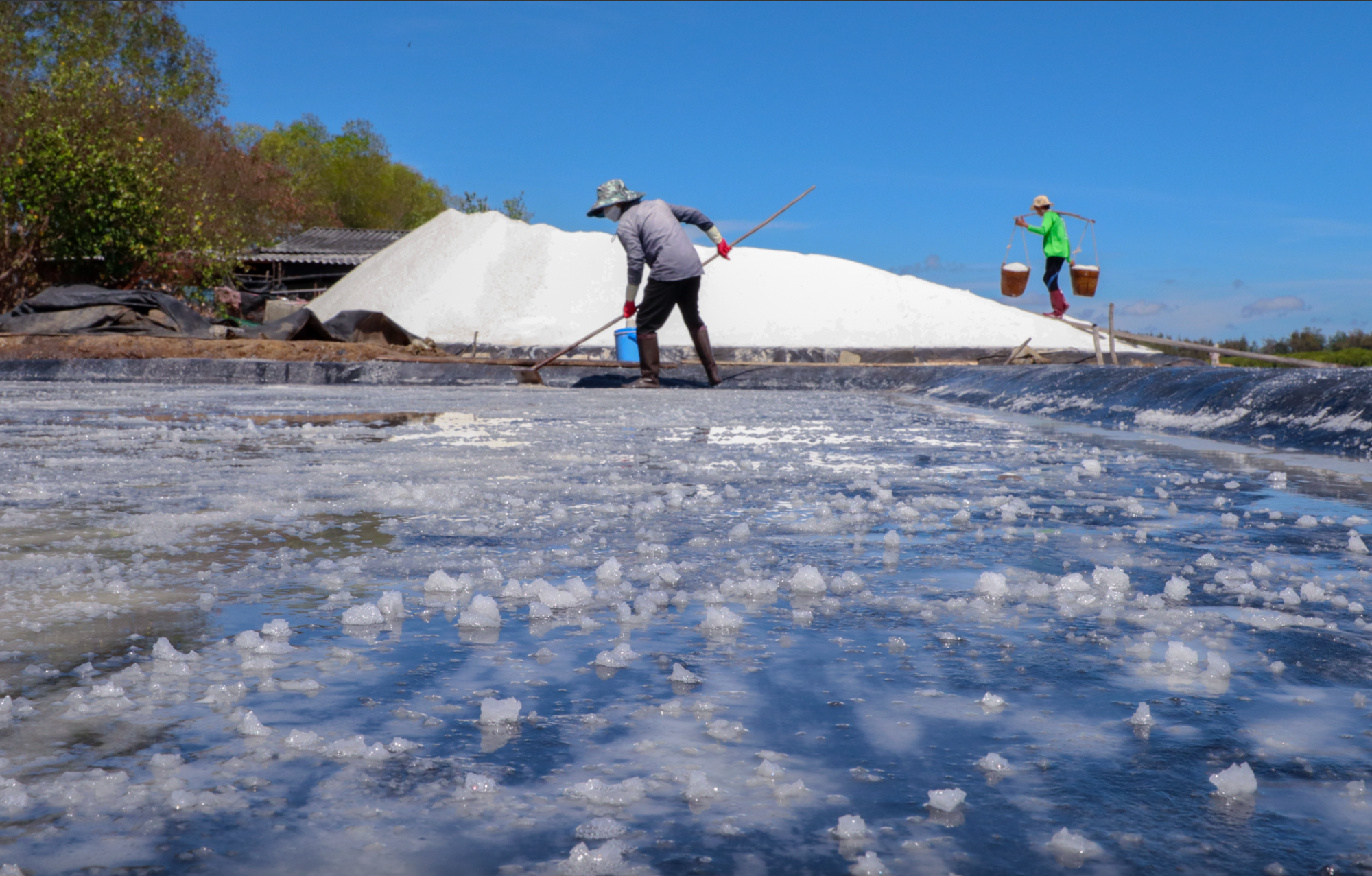 Toàn cảnh 5 con đường đi từ TP.HCM đến siêu dự án 9 tỷ USD "nóng" nhất lúc này- Ảnh 5. Toàn cảnh 5 con đường đi từ TP.HCM đến siêu dự án 9 tỷ USD "nóng" nhất lúc này- Ảnh 5.
