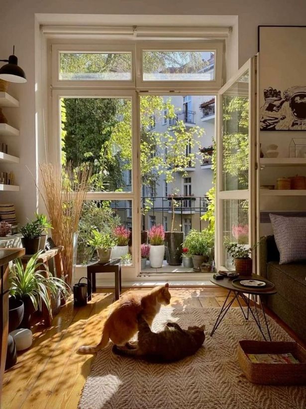 Cơ hội làm giàu, trả nợ của 12 con giáp từ nay đến 12/ 2025- Ảnh 3.