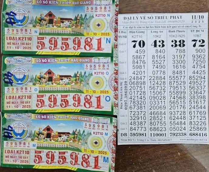 Xổ số miền Nam: 28 tờ vé số trúng độc đắc tại An Giang và Cà Mau - Ảnh 1.