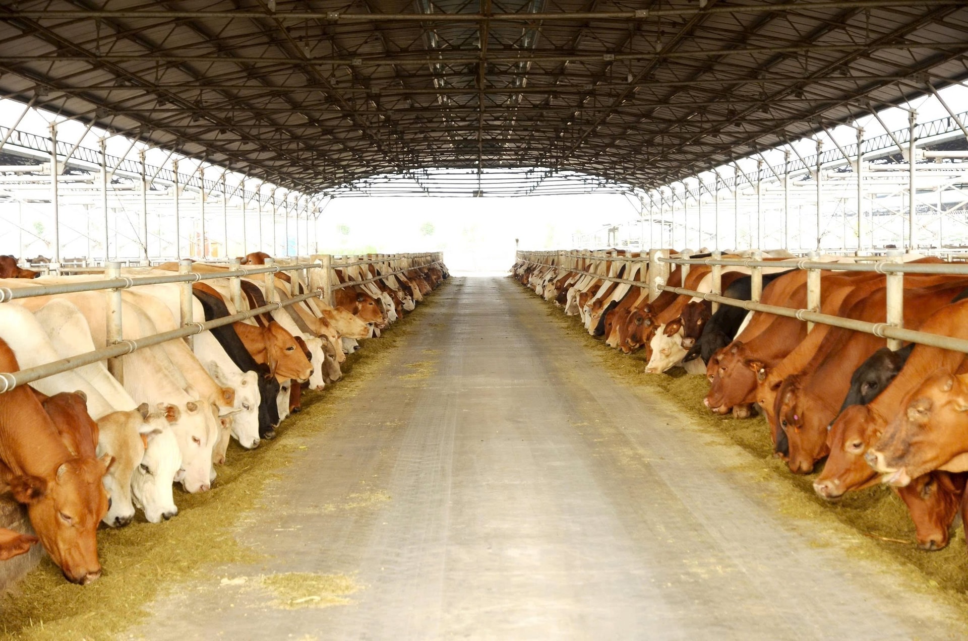 Tân binh sàn chứng khoán Việt Nam 2025: Kẻ tăng giá gấp đôi, người 'hụt hơi' và những gã khổng lồ tỷ đô sắp lộ diện- Ảnh 3.