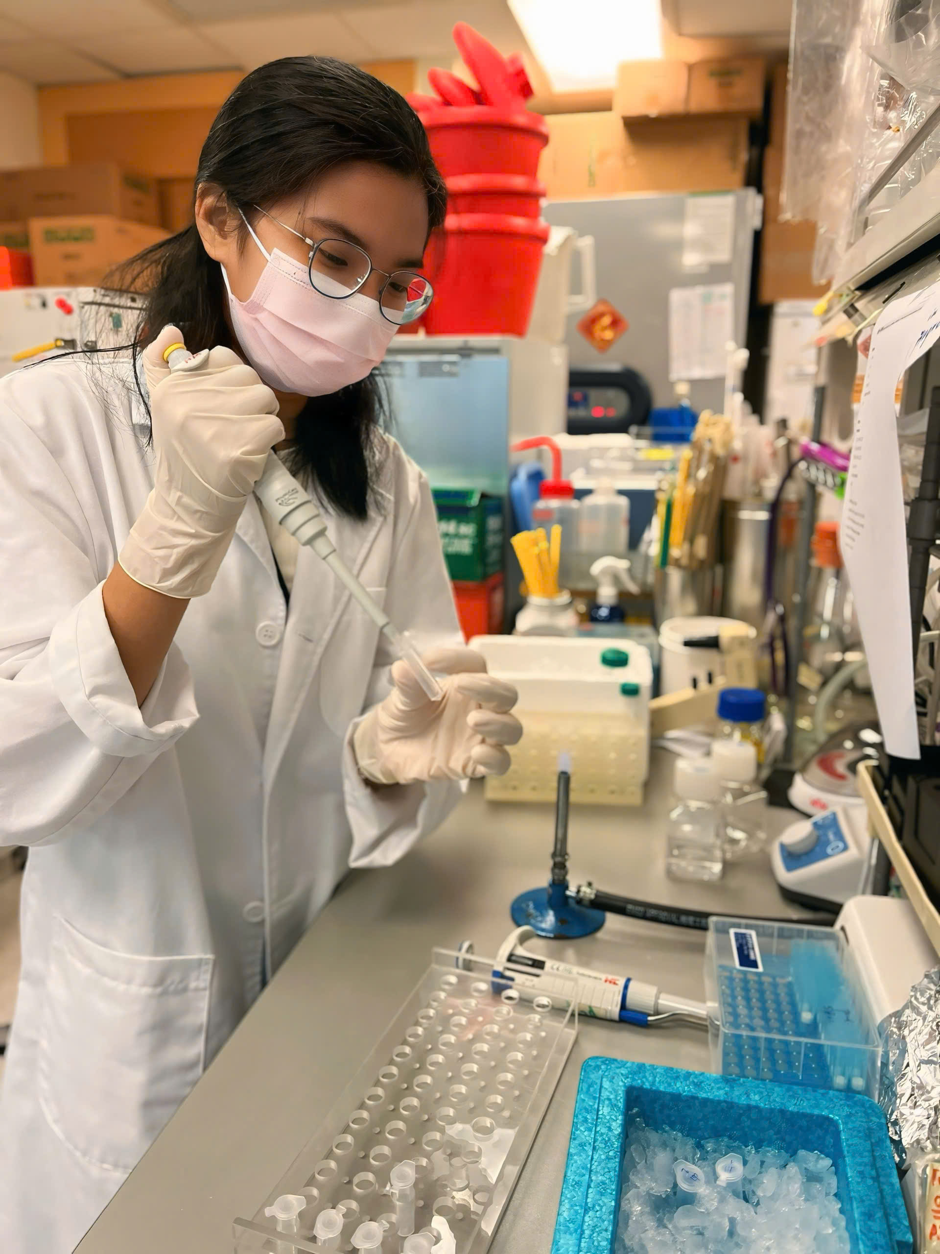 Nữ sinh TP.HCM quyết "săn" học bổng Hồng Kông vì lý do... không đỡ nổi: Trải qua 4 năm học như mơ, thành tích hiện tại càng nể! - Ảnh 3. Nữ sinh TP.HCM quyết "săn" học bổng Hồng Kông vì lý do... không đỡ nổi: Trải qua 4 năm học như mơ, thành tích hiện tại càng nể! - Ảnh 3.