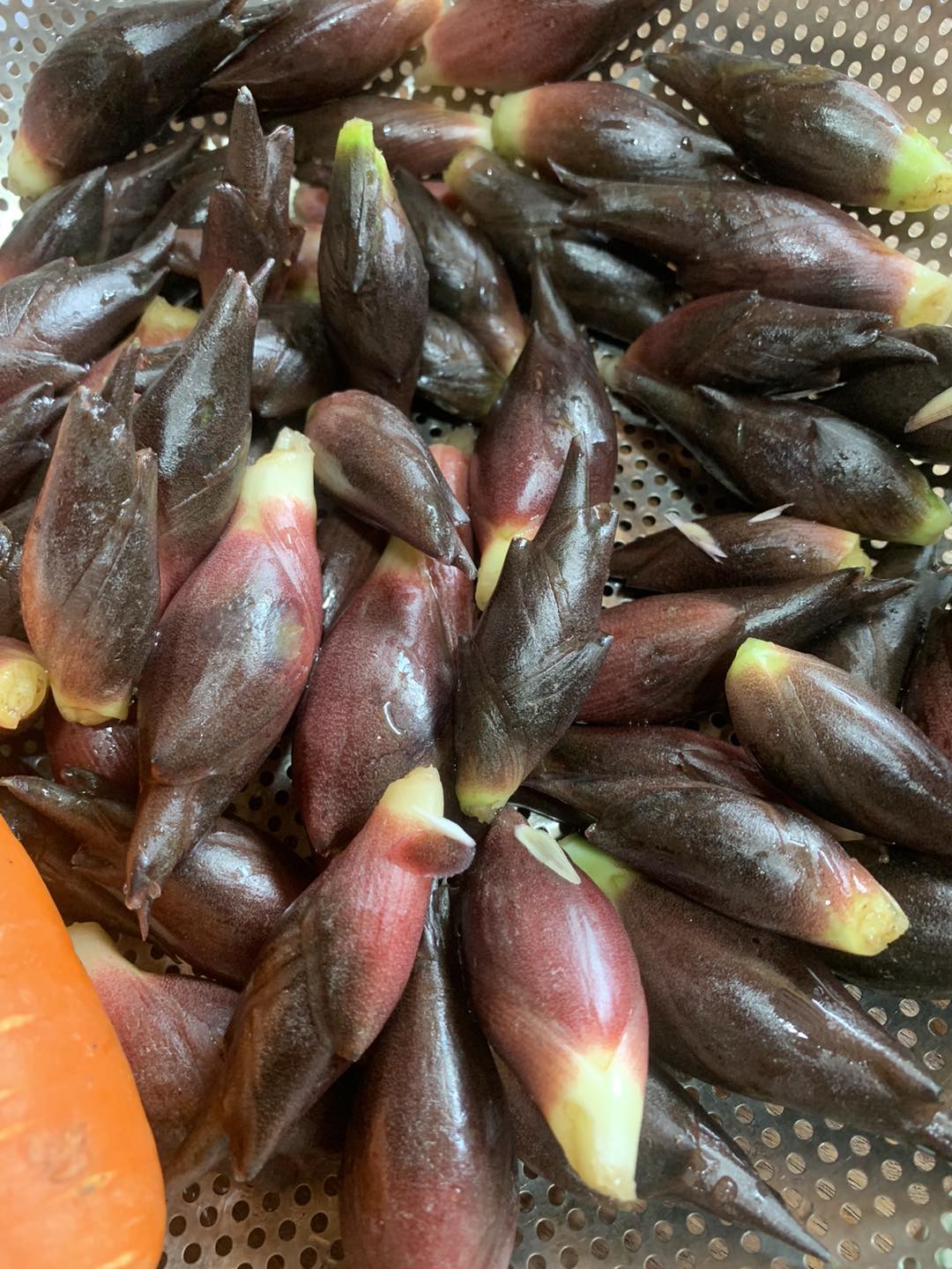 Không chỉ có mùa vàng rực rỡ, nơi này còn cất giấu "báu vật tựa nhân sâm" khiến thực khách say mê - Ảnh 3. Không chỉ có mùa vàng rực rỡ, nơi này còn cất giấu "báu vật tựa nhân sâm" khiến thực khách say mê - Ảnh 3.