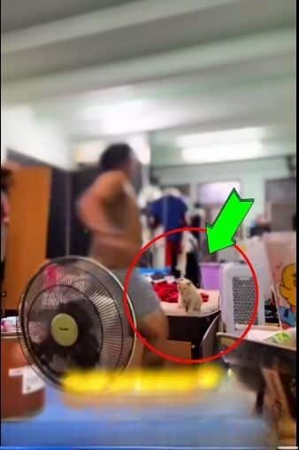 Người đàn ông bất ngờ bị công ty sa thải, xem đoạn clip từ camera nhiều netizen hoàn toàn đồng tình - Ảnh 1. Người đàn ông bất ngờ bị công ty sa thải, xem đoạn clip từ camera nhiều netizen hoàn toàn đồng tình - Ảnh 1.