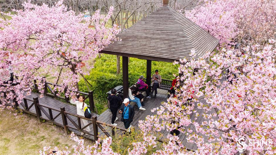 Cảnh tượng mưa ngập ở Thượng Hải khiến nhiều người giật mình, nhận xét: "Thật sự không tin nổi" - Ảnh 8. Cảnh tượng mưa ngập ở Thượng Hải khiến nhiều người giật mình, nhận xét: "Thật sự không tin nổi" - Ảnh 8.