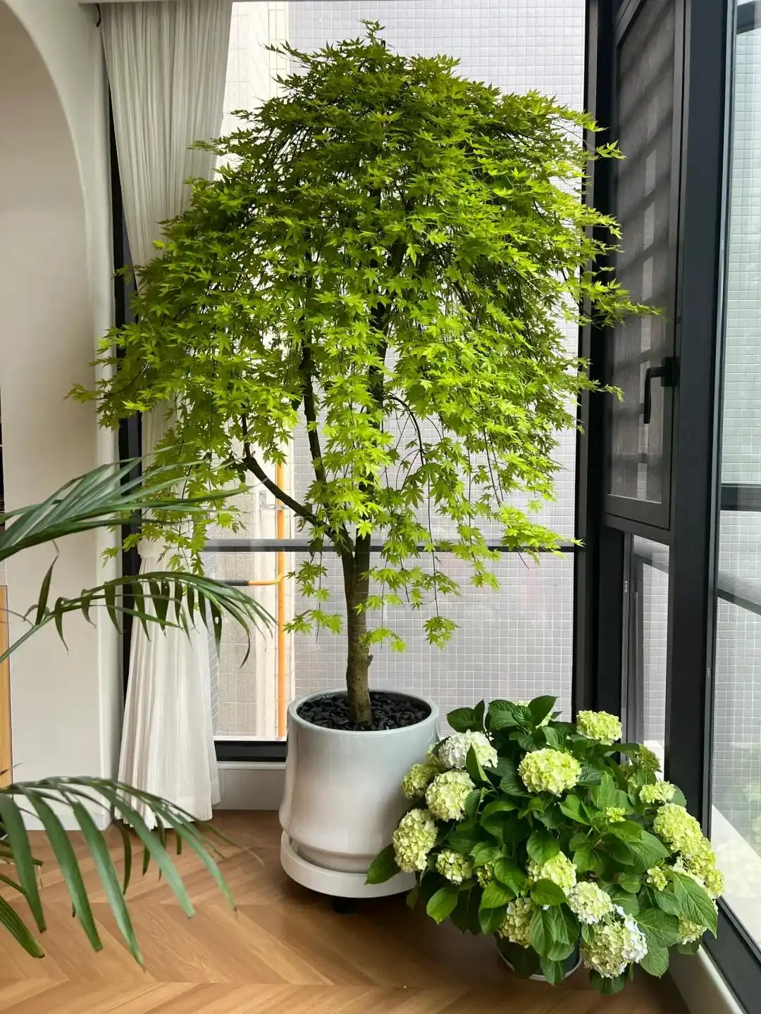 Không phải mê tín: Ban công to mấy cũng đừng đặt 4 thứ này nếu không muốn sức khỏe sa sút, rước họa vào thân- Ảnh 2. Không phải mê tín: Ban công to mấy cũng đừng đặt 4 thứ này nếu không muốn sức khỏe sa sút, rước họa vào thân- Ảnh 2.