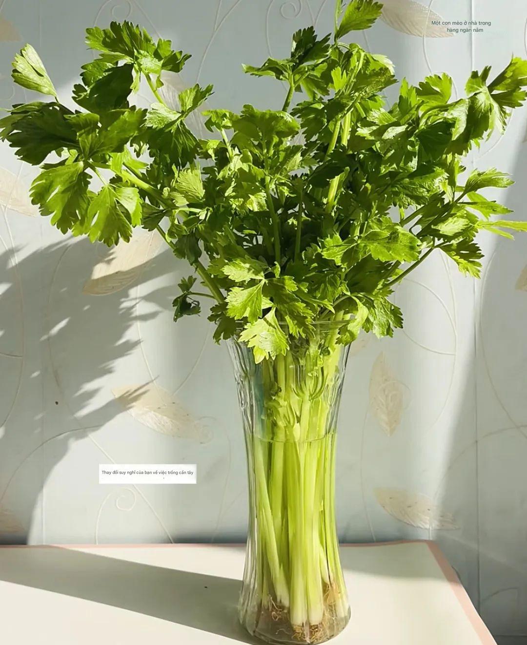 7 mẹo vặt quý hơn vàng: Sách vở không dạy nhưng bố tôi biết tất- Ảnh 8. 7 mẹo vặt quý hơn vàng: Sách vở không dạy nhưng bố tôi biết tất- Ảnh 8.