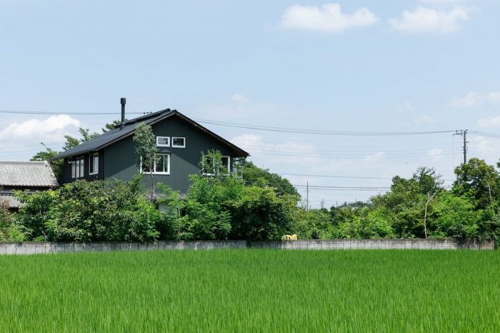 40 tuổi nghỉ hưu, về quê với hơn 10 tỷ đồng, tôi “trắng tay” sau 5 năm: Biết sớm điều đã không khổ- Ảnh 2.