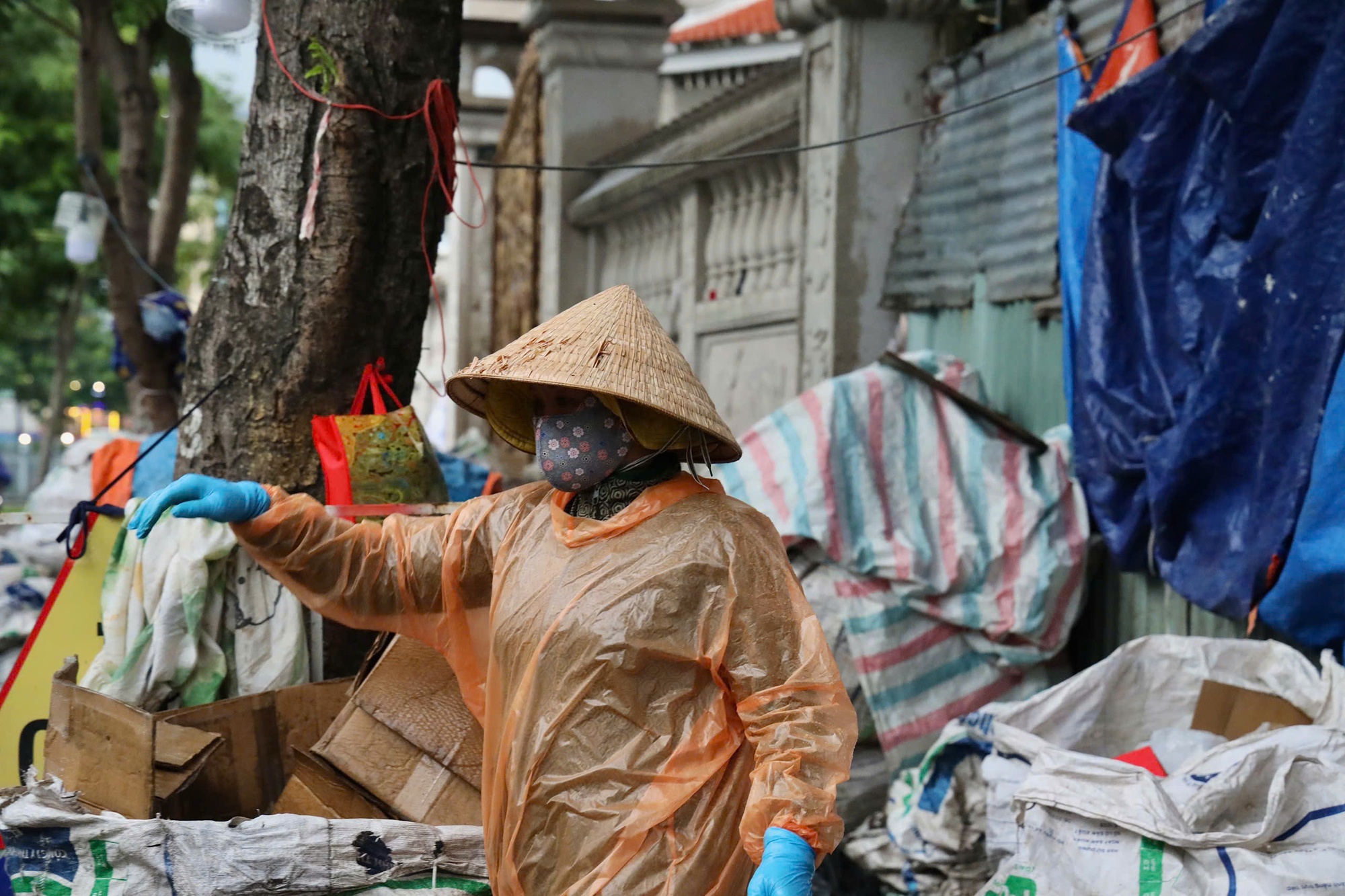 - Ảnh 3. - Ảnh 3.