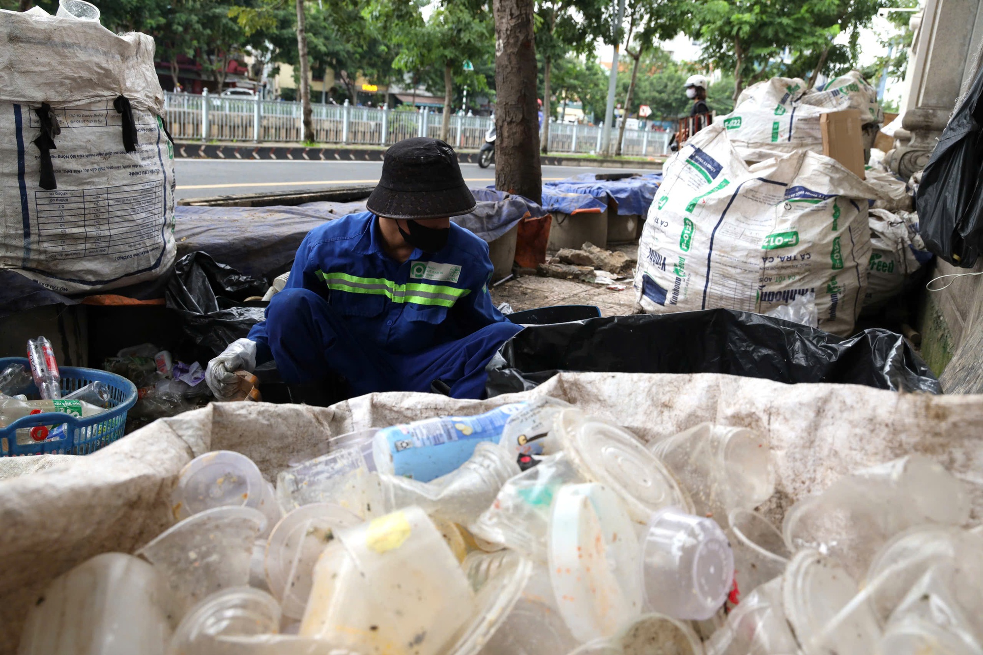 - Ảnh 1. - Ảnh 1.