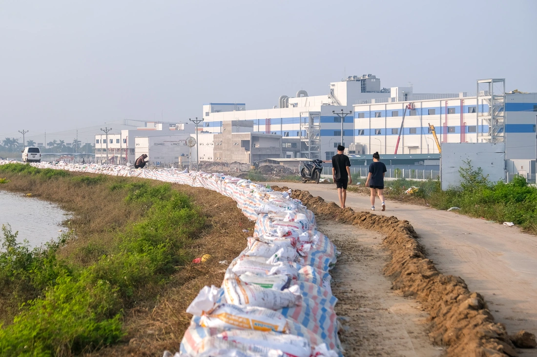 Bắc Ninh khẩn trương hồi sinh đời sống người dân và kinh tế vùng lũ - Ảnh 8.