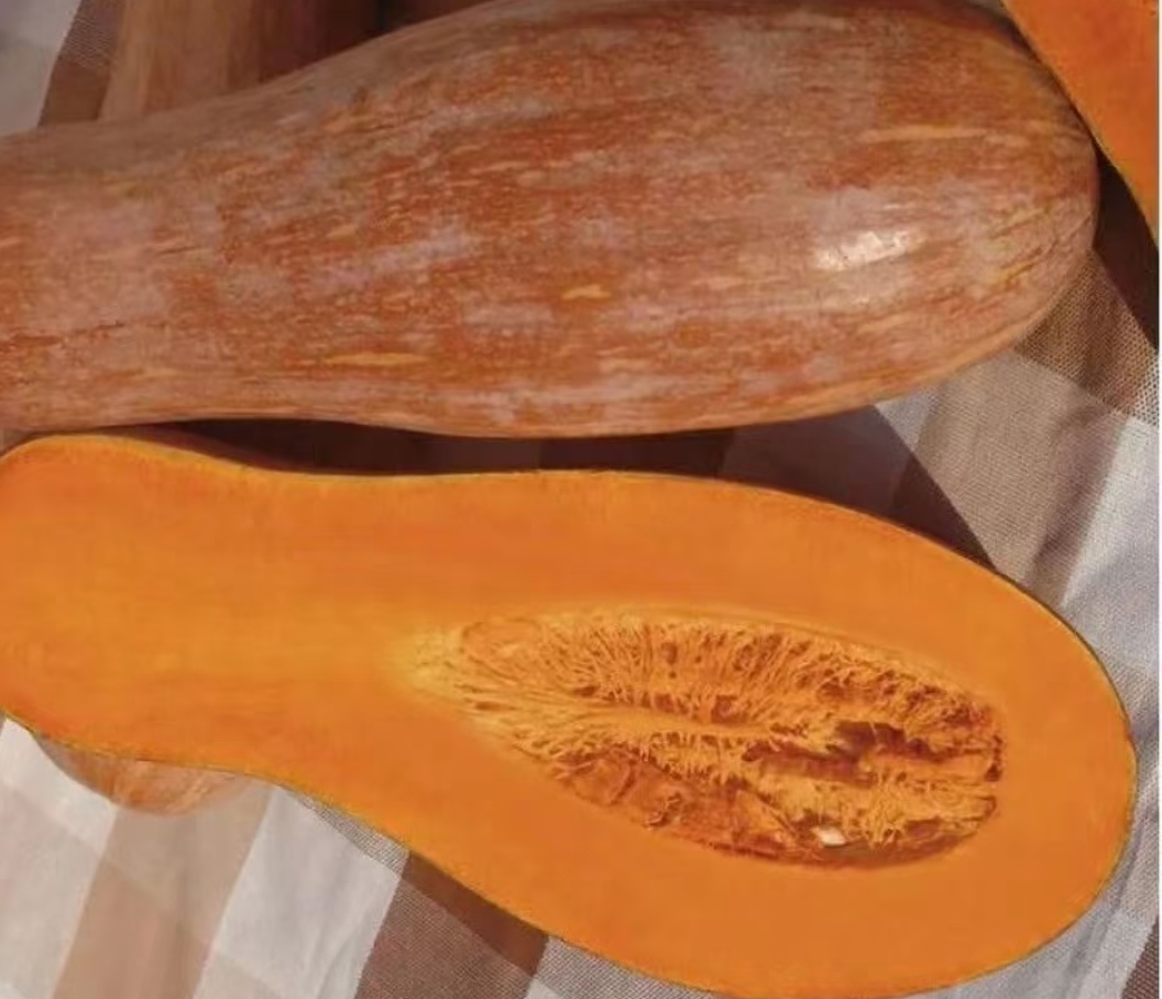 Ông lão nông dân khuyên: "Mua bí ngô, đừng nhìn vào kích thước, hãy chú ý 4 điểm này, sẽ chọn được quả chất lượng tuyệt hảo!- Ảnh 1.