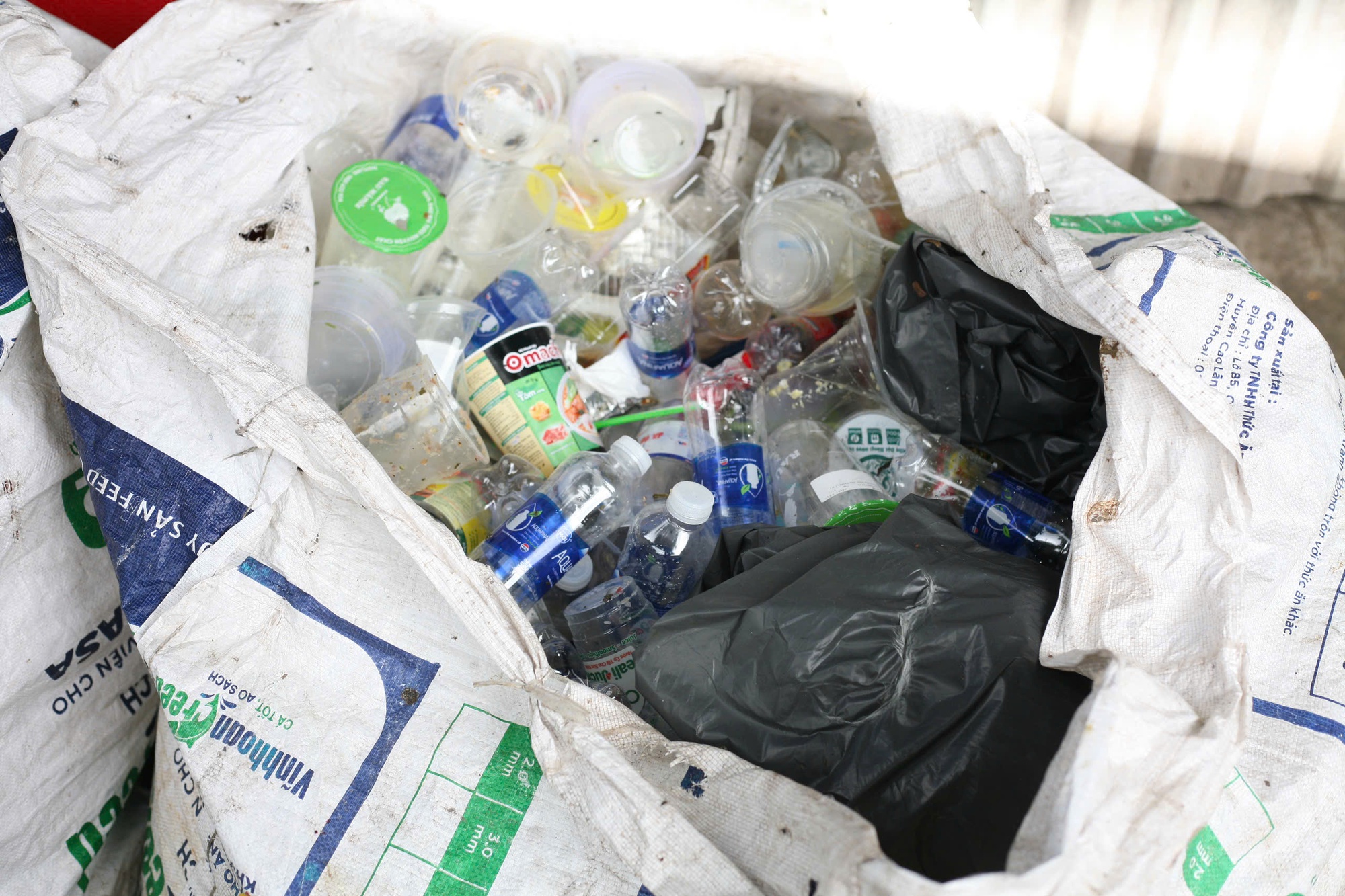 - Ảnh 8. - Ảnh 8.