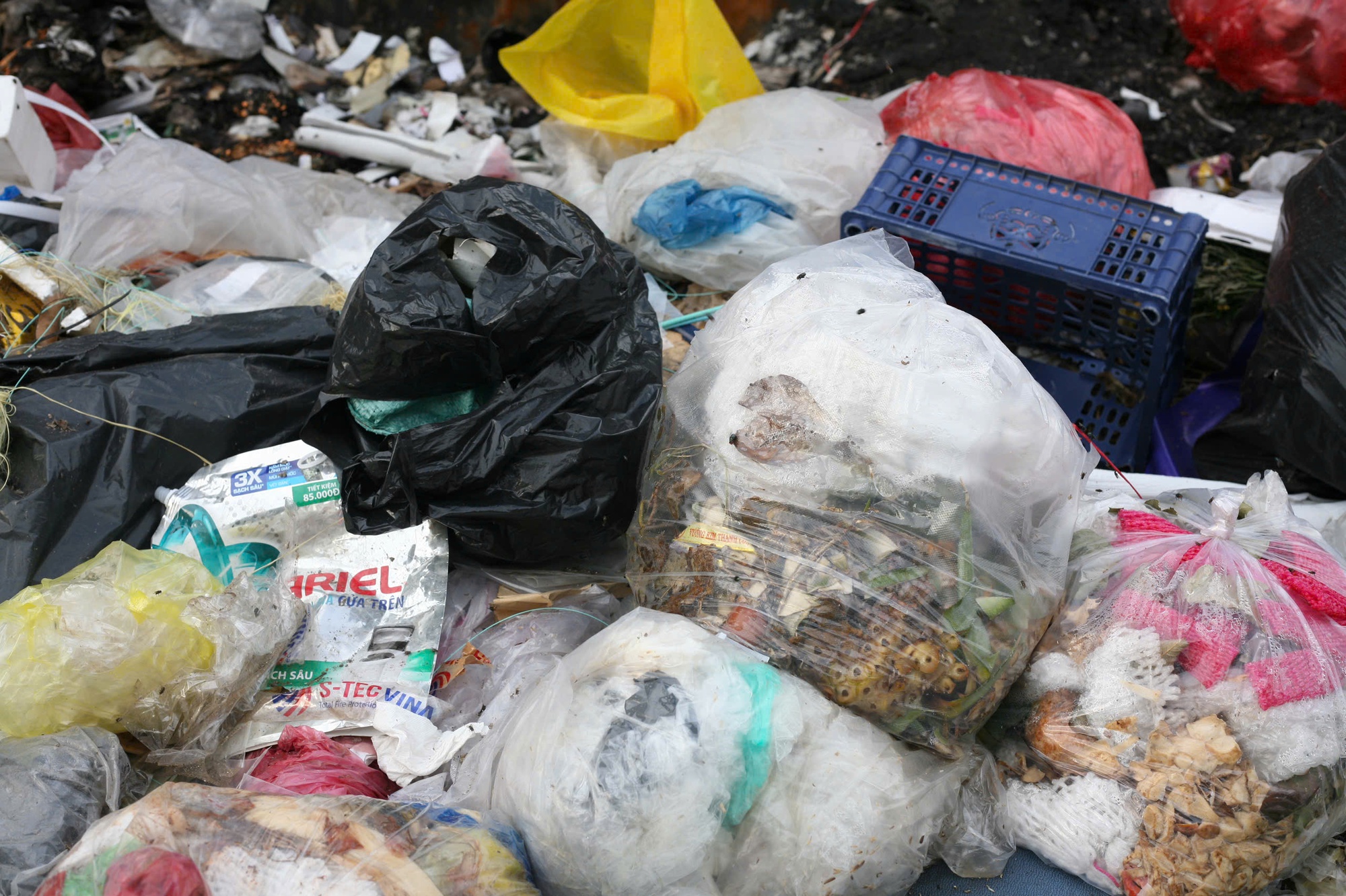 - Ảnh 5. - Ảnh 5.