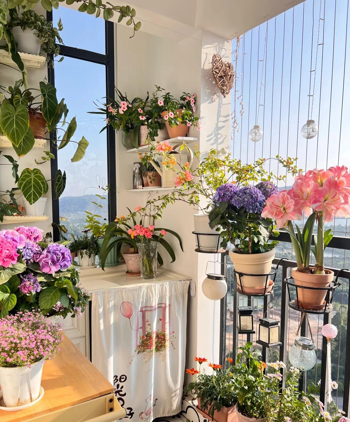 Nhà hàng xóm chỉ có ban công 4m² mà làm được khu vườn đẹp như resort, nhìn xong tôi chỉ biết thốt lên "đỉnh thật"! - Ảnh 6.