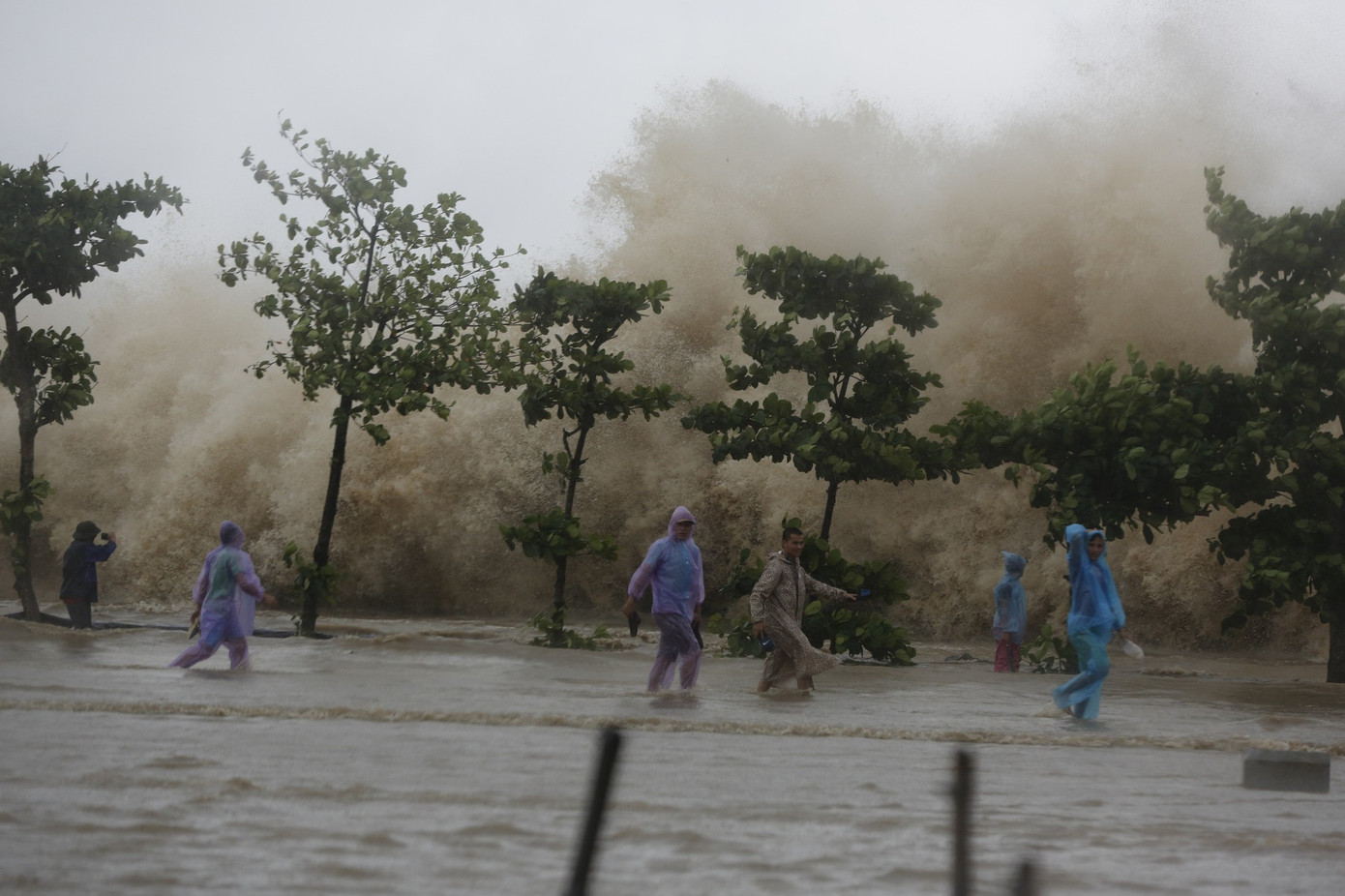 Biển Đông đón bão số 12 cuối tuần này- Ảnh 1.