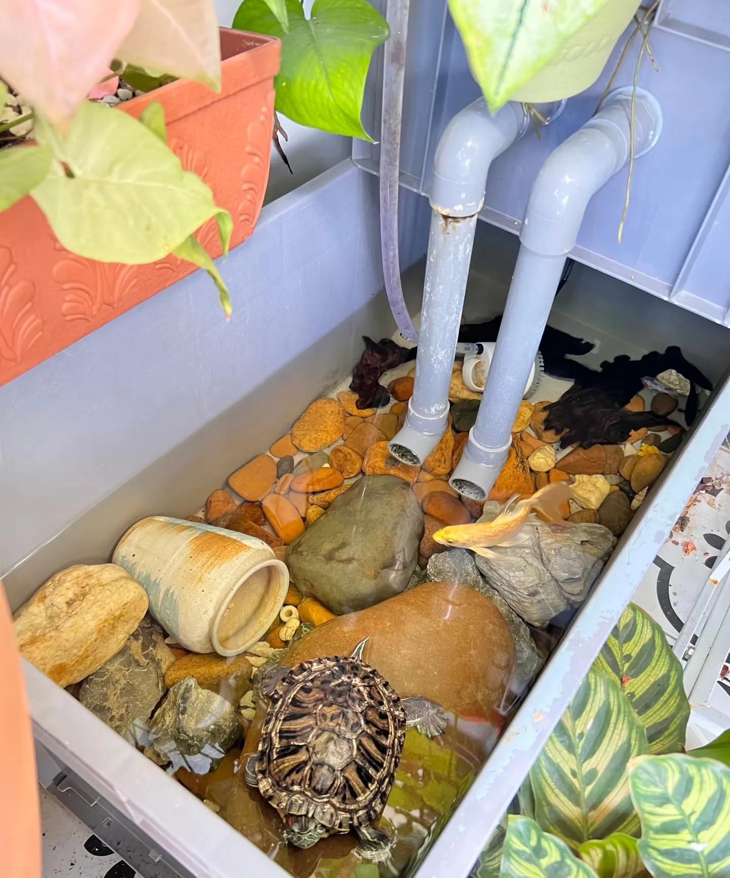 Nhà hàng xóm chỉ có ban công 4m² mà làm được khu vườn đẹp như resort, nhìn xong tôi chỉ biết thốt lên "đỉnh thật"! - Ảnh 7.