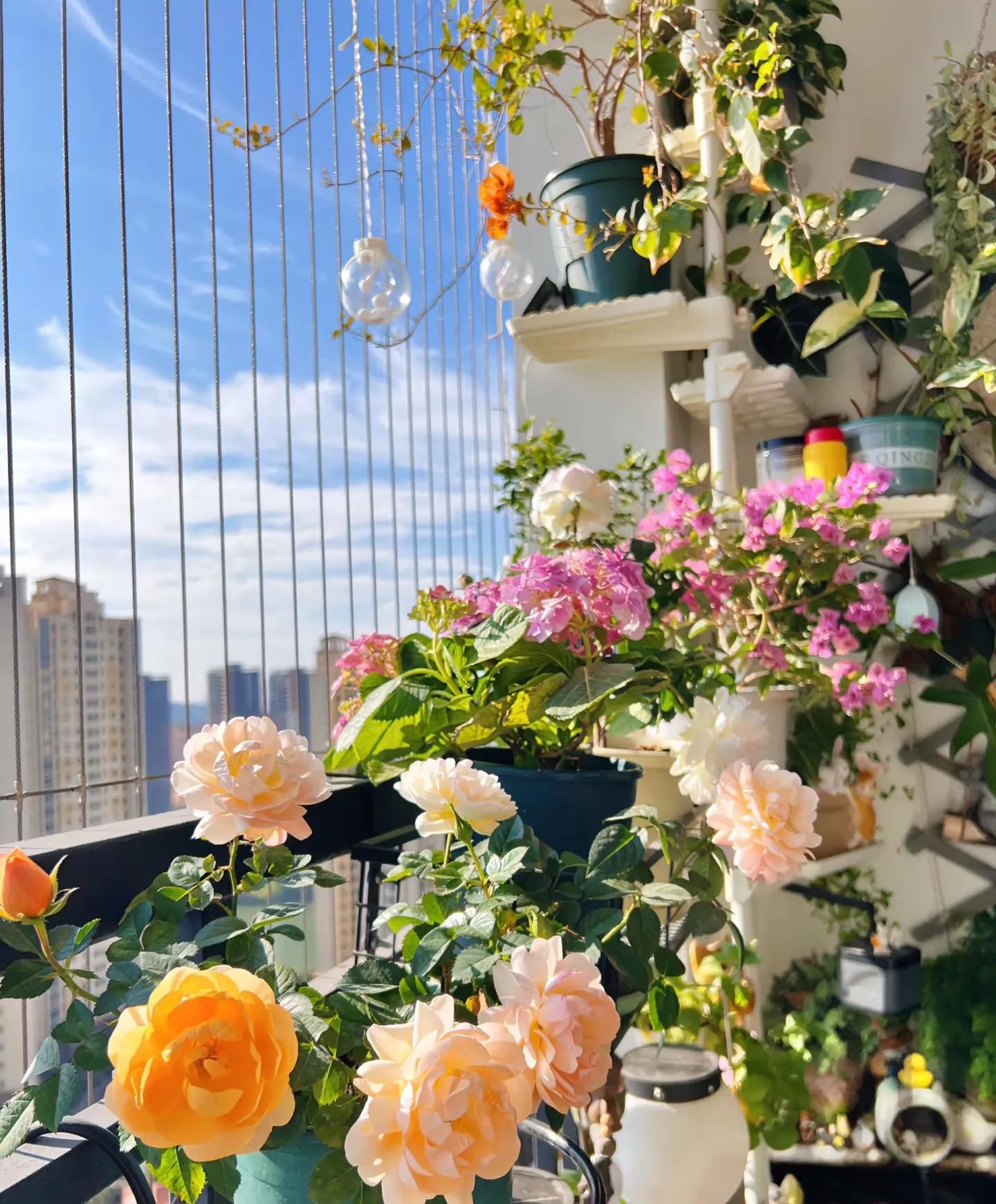 Nhà hàng xóm chỉ có ban công 4m² mà làm được khu vườn đẹp như resort, nhìn xong tôi chỉ biết thốt lên "đỉnh thật"! - Ảnh 4.