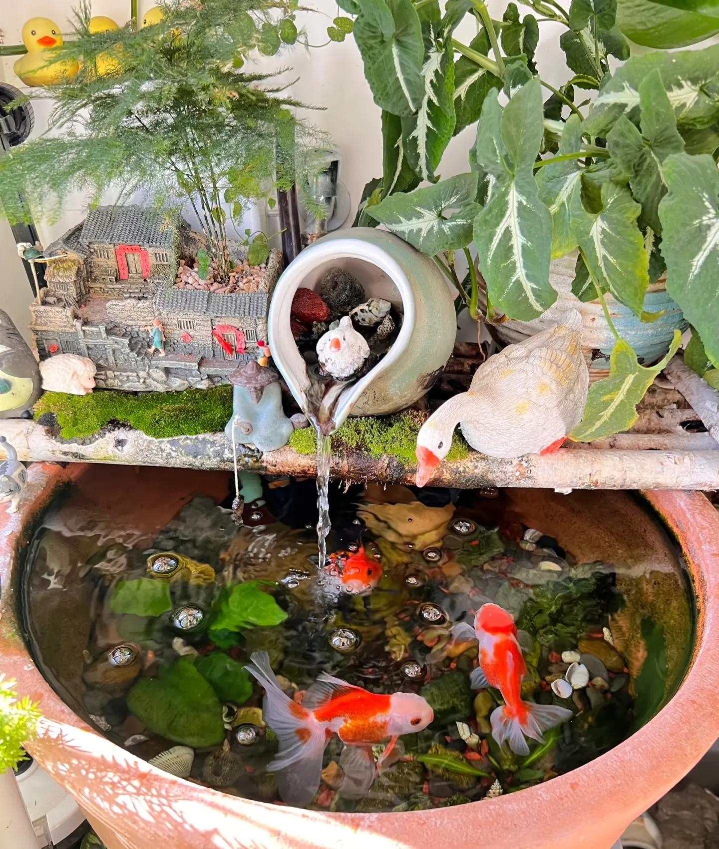 Nhà hàng xóm chỉ có ban công 4m² mà làm được khu vườn đẹp như resort, nhìn xong tôi chỉ biết thốt lên "đỉnh thật"! - Ảnh 8.