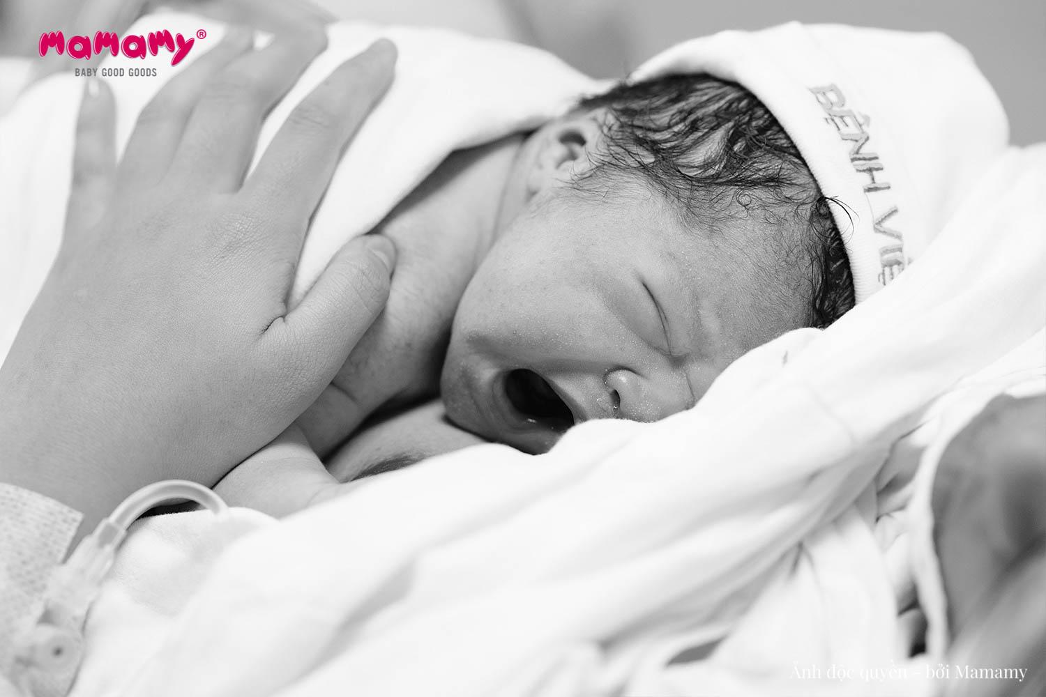 “Tiếng oeoe đầu đời”: Nguồn cảm hứng cho hệ sản phẩm toàn diện từ Mamamy - Ảnh 1.