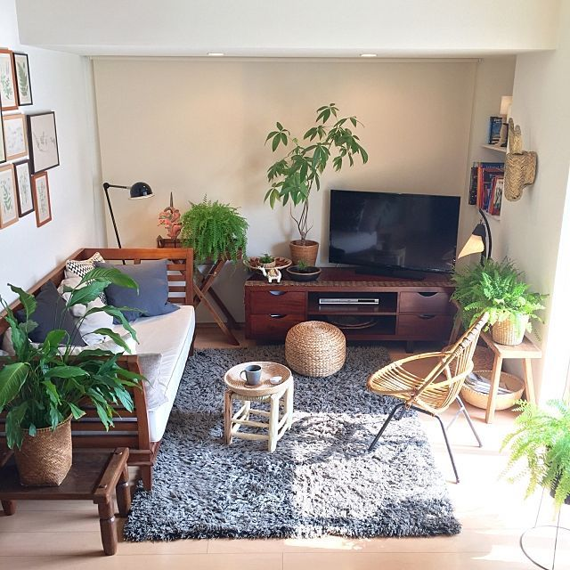 - Ảnh 1. - Ảnh 1.