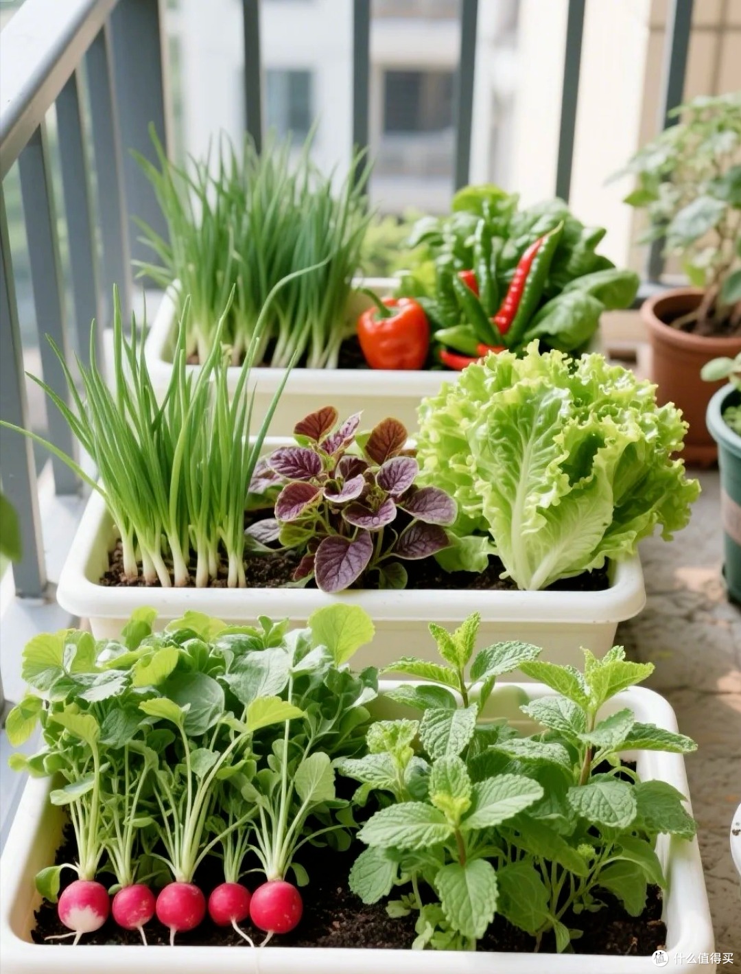 Mẹ tôi là "bà thánh tiết kiệm" - Ảnh 6. Mẹ tôi là "bà thánh tiết kiệm" - Ảnh 6.