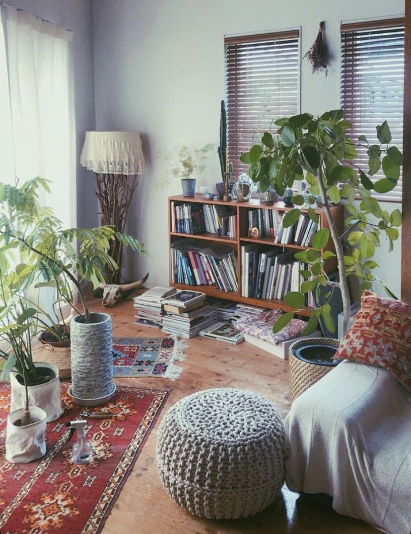 - Ảnh 2. - Ảnh 2.