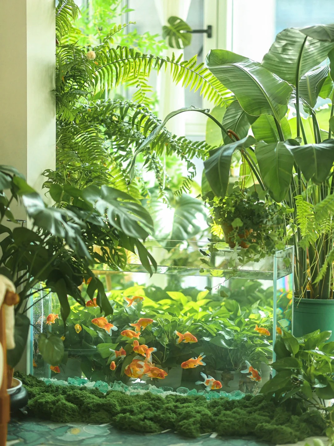 - Ảnh 4. - Ảnh 4.