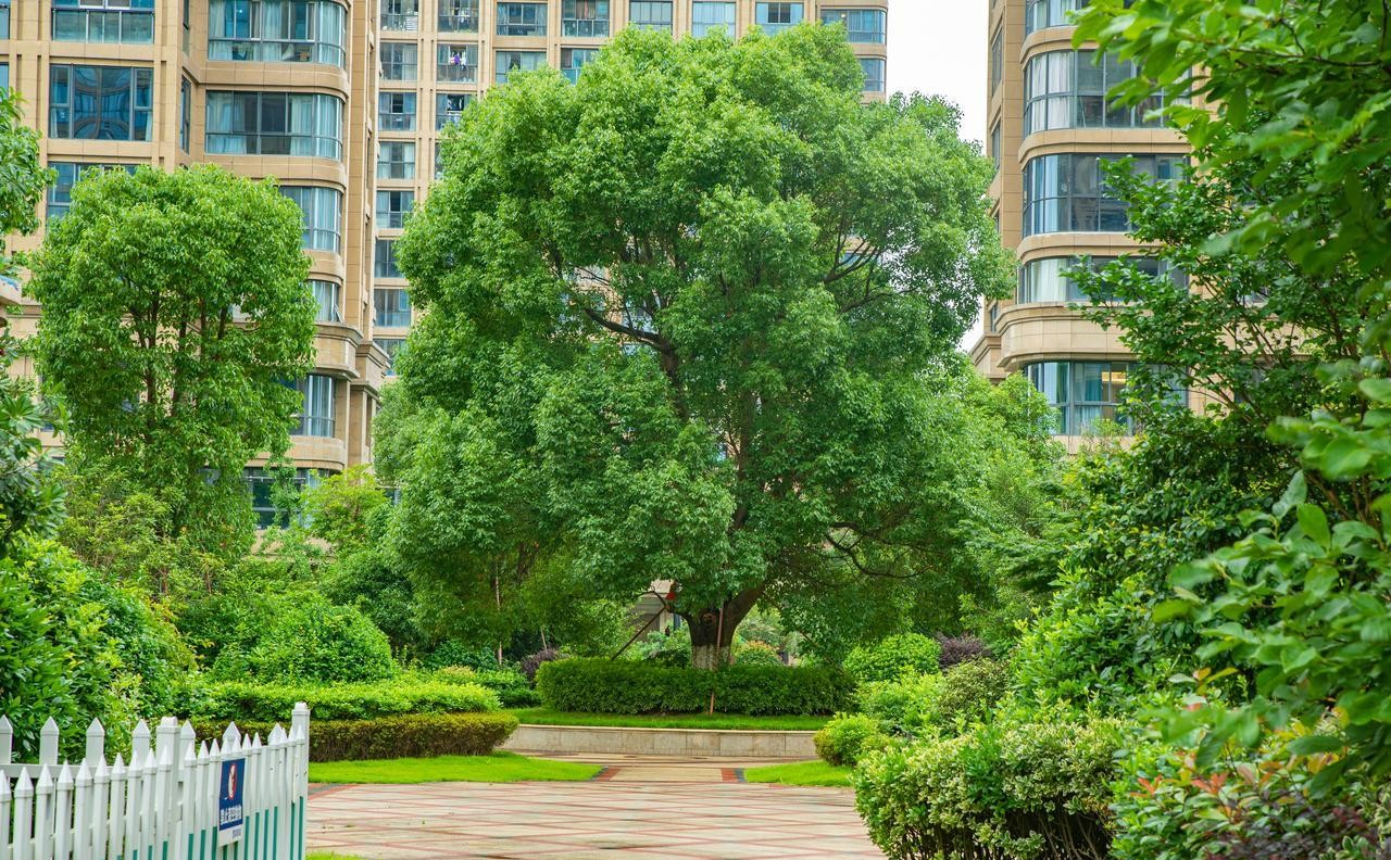 Từng mua bán 11 căn nhà - tôi sẽ chỉ cho bạn biết nên chọn tầng nào để ở thoải mái và giữ giá nhất- Ảnh 2.