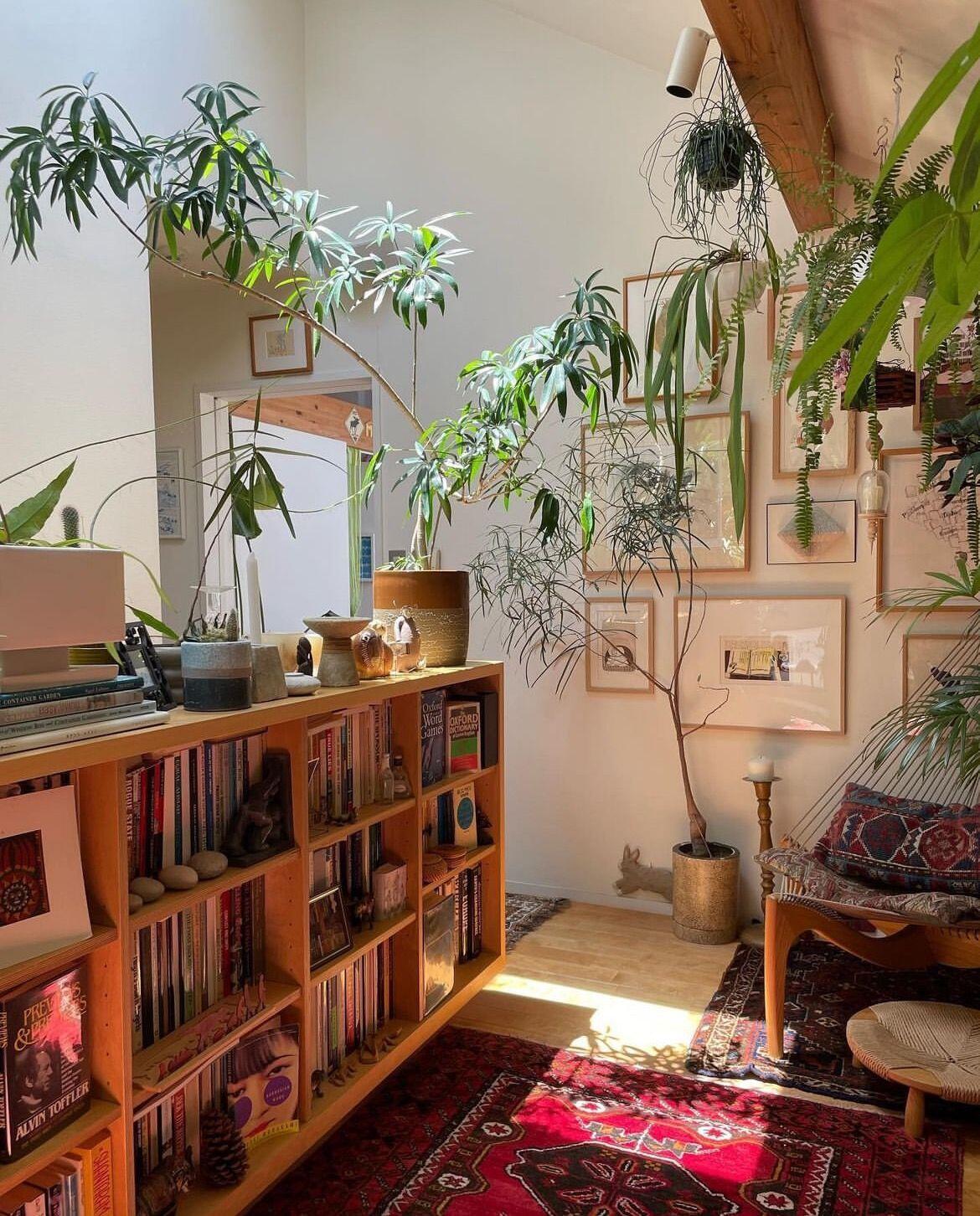 8 thiết kế nhà "nhất của Nhật", đỉnh đến nỗi Google cạn từ khen - Ảnh 7.