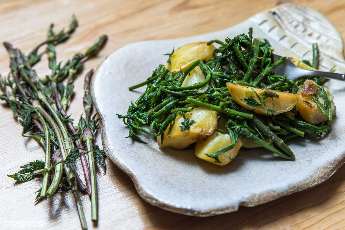 Loại cây dại xưa mọc không ai hái, nay "hái ra tiền" 39 triệu/kg - Ảnh 5.