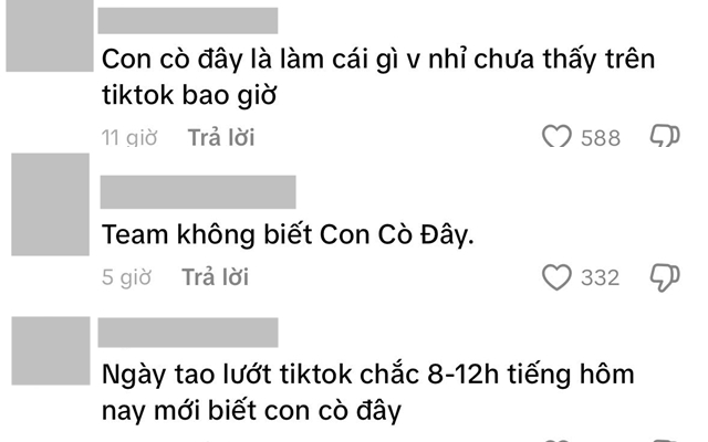 Ồn ào quanh Con Cò Đây và Tina Thảo Thi- Ảnh 3. Ồn ào quanh Con Cò Đây và Tina Thảo Thi- Ảnh 3.