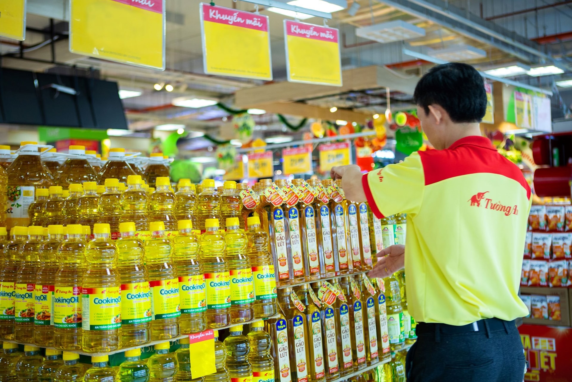 Vocarimex chuẩn bị rời sàn chứng khoán - Ảnh 1.