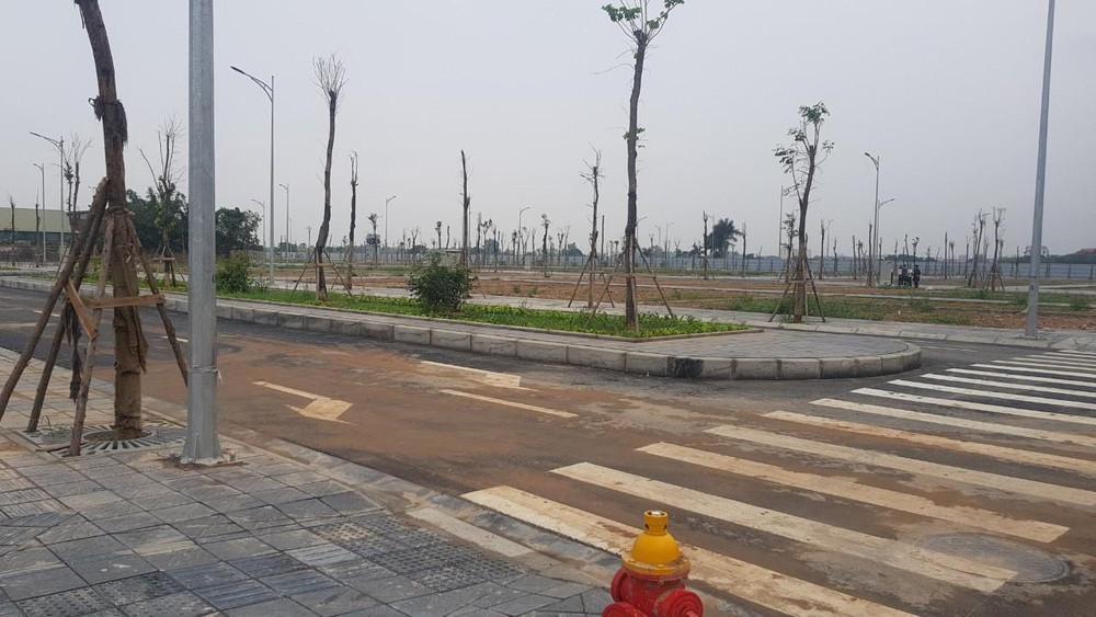 Đằng sau loạt dự án khủng vừa trình làng của doanh nghiệp 'siêu đại gia'- Ảnh 2.