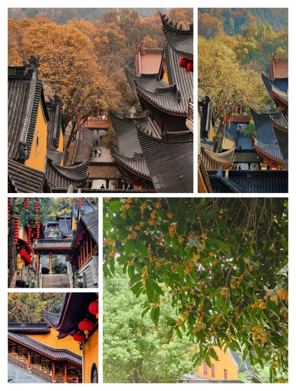 Hơn 2 tỷ lượt người Trung Quốc đang đổ xô đến đâu? Hóa ra đây mới là nơi có thể sẽ đón khách bùng nổ - Ảnh 5.