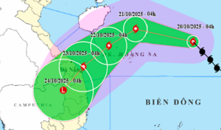 - Ảnh 1. - Ảnh 1.