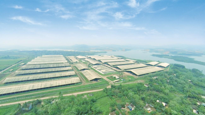 Bà Thái Hương nhận giải doanh nhân xuất sắc ASEAN - Ảnh 3.