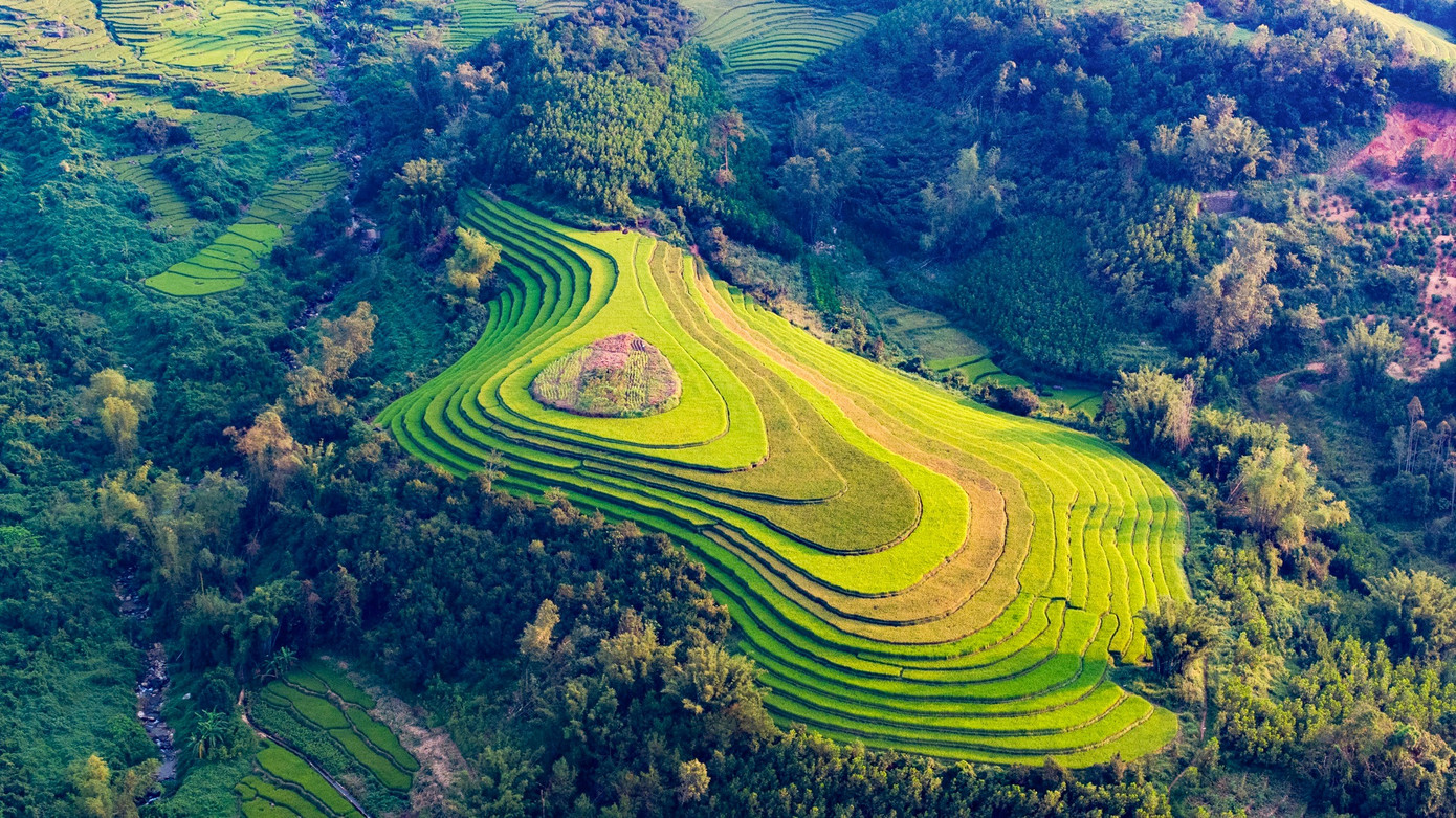 Đẹp ngất ngây ruộng bậc thang ở thung lũng Lục Hồn- Ảnh 14.
