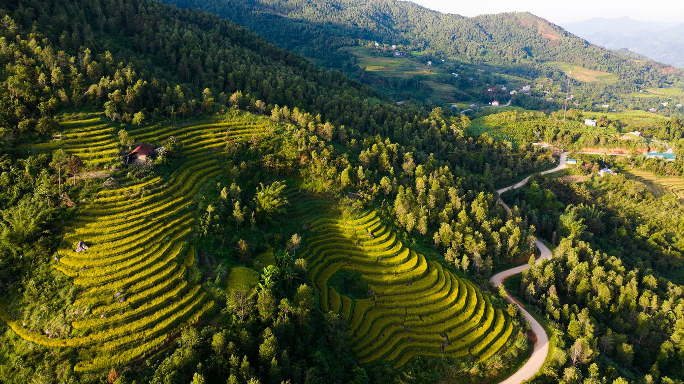 Đẹp ngất ngây ruộng bậc thang ở thung lũng Lục Hồn- Ảnh 4.