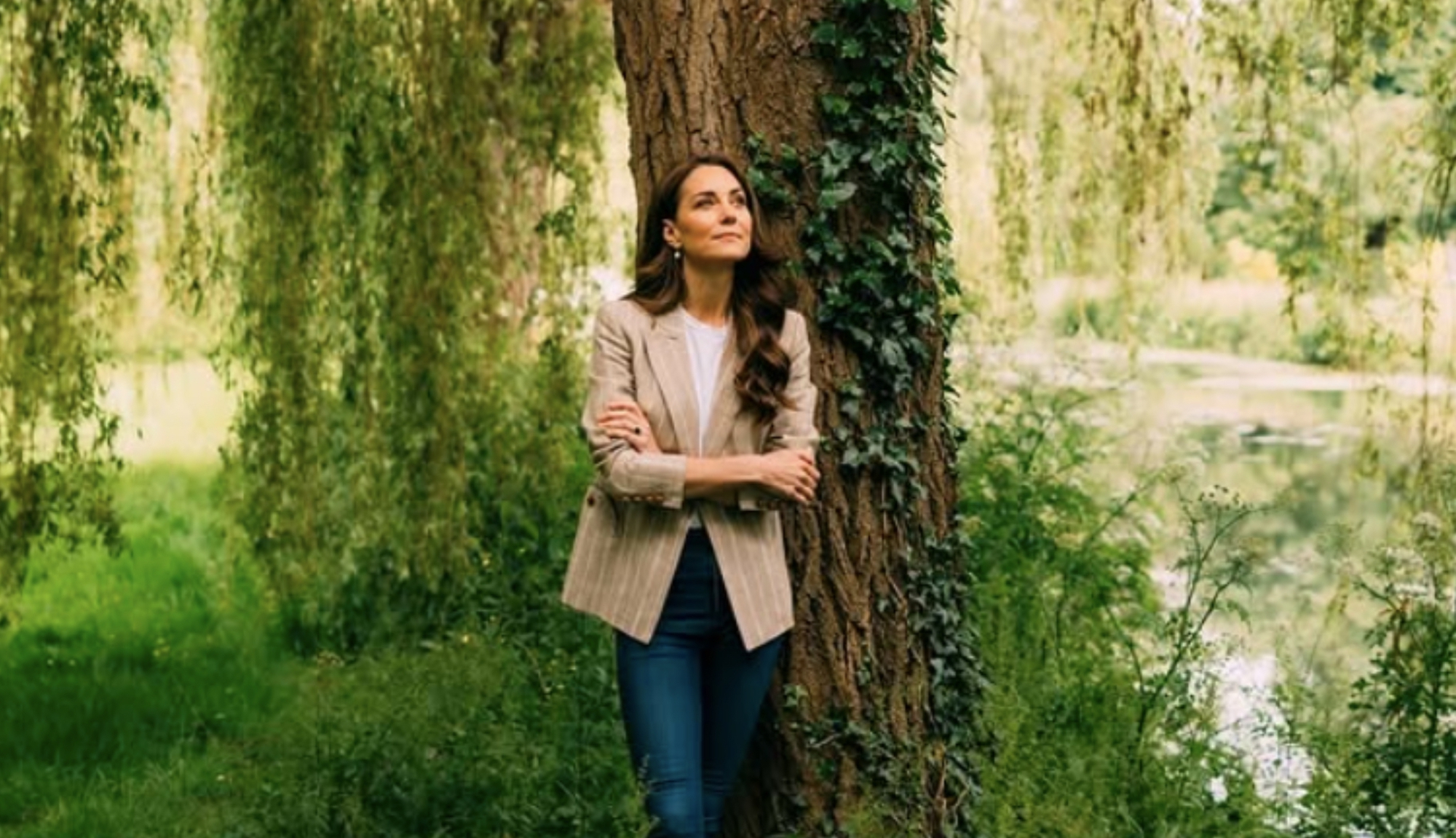 Giải mã 'Tắm rừng' - liệu pháp phục hồi, cải thiện sức khỏe được Bill Gates, công tương Kate cực ưa chuộng- Ảnh 1.