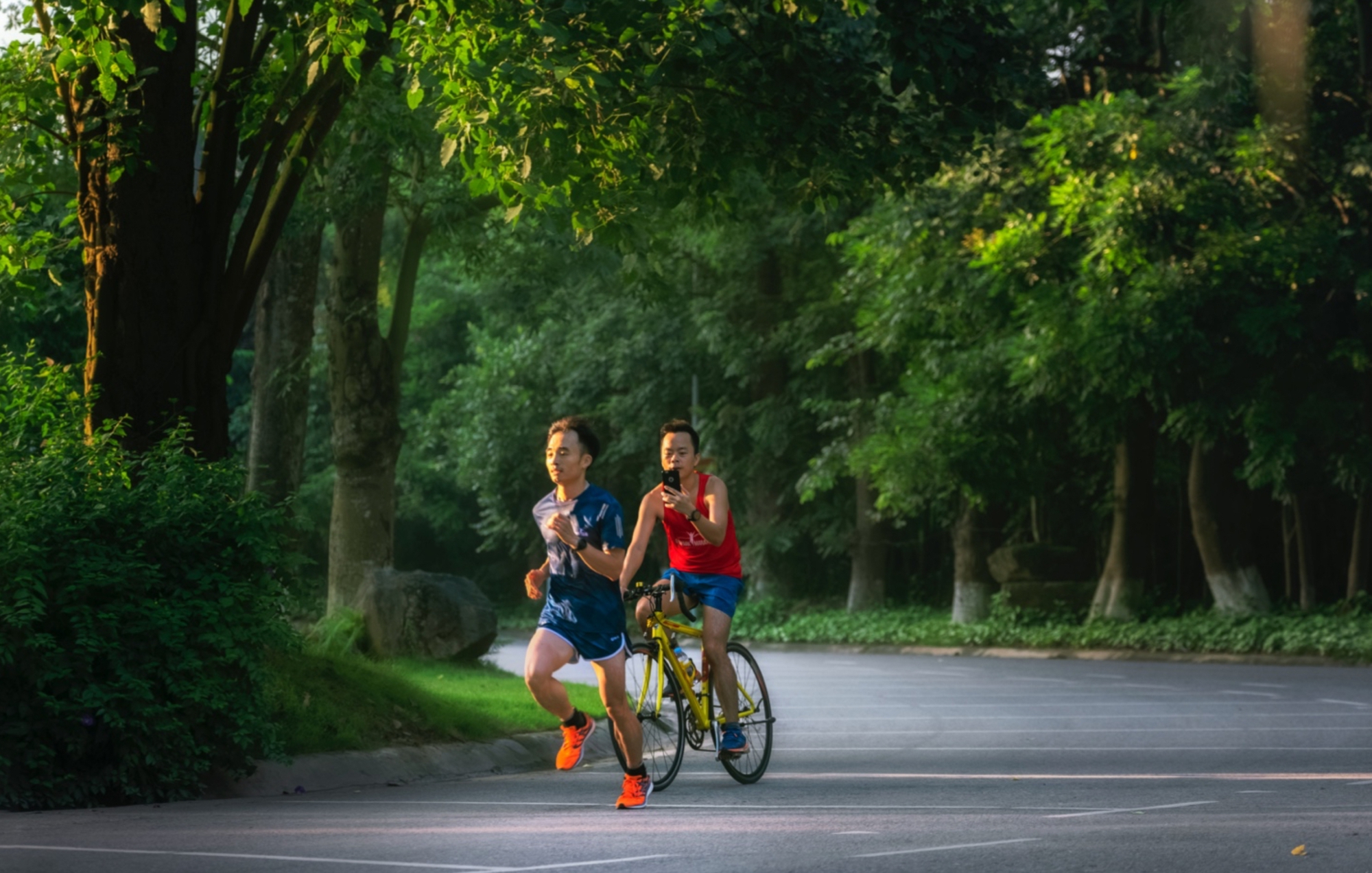 Giải mã 'Tắm rừng' - liệu pháp phục hồi, cải thiện sức khỏe được Bill Gates, công tương Kate cực ưa chuộng- Ảnh 2.