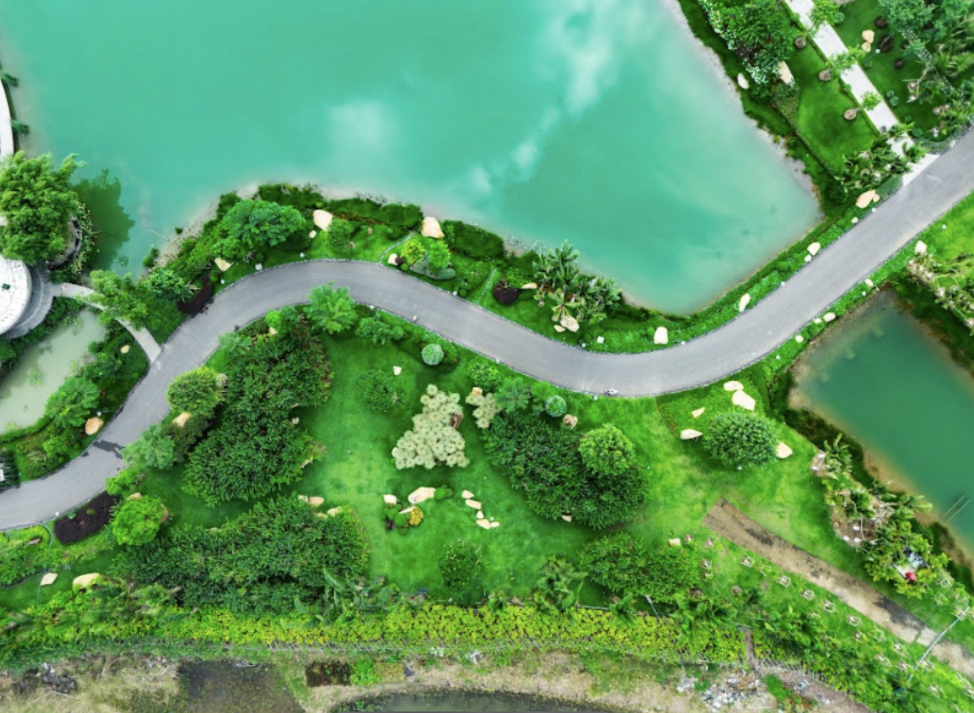 Giải mã 'Tắm rừng' - liệu pháp phục hồi, cải thiện sức khỏe được Bill Gates, công tương Kate cực ưa chuộng- Ảnh 5.