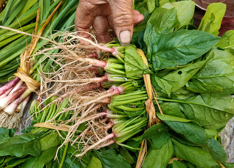 Ngày càng nhiều người tử vong vì suy thận, bác sĩ khuyên: Chớ dại đụng nhiều 5 loại rau này- Ảnh 2.