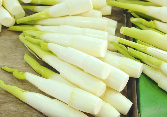 Ngày càng nhiều người tử vong vì suy thận, bác sĩ khuyên: Chớ dại đụng nhiều 5 loại rau này- Ảnh 3.